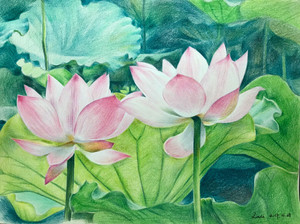 彩铅画《池塘边的荷花》出售