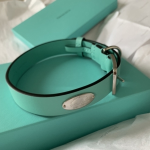 00tb928896_88淘宝tiffany蒂芙尼 纯银 豌豆项圈 ,豌豆是25mm厘米的