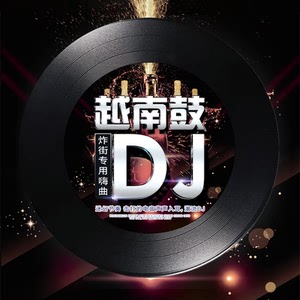 正版越南鼓dj劲爆重低音嗨曲黑胶唱片 无损音质汽车载cd光盘