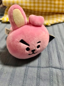 00好吃哒7878淘宝bt21挂件麂皮绒幼儿cooky田柾国玩偶挂饰shooky0人