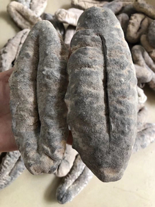 清湖燃气淘宝1头澳洲猪婆参淡干深海海参非即食大连辽参老人小孩