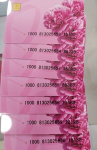 购物卡/礼品卡/友谊购物卡/广百购物卡/天河城百货卡/呆呆回家了