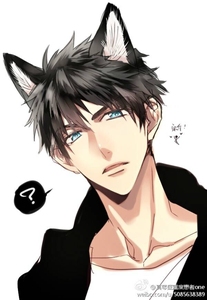 000人付款淘宝座里屋兰丸zaria 郊狼1 2 3 无删减tb37215699