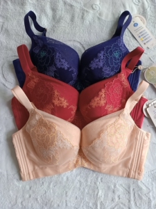 缔妒 36/80d文胸 (树叶箱)