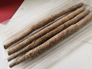 【五斤精品大根】正宗铁棍山药产地直销,现挖现卖,新鲜到你家.