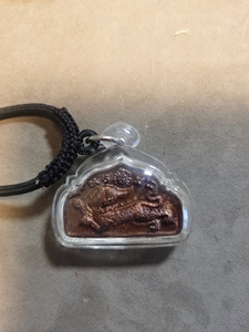 古巴磐石食人虎