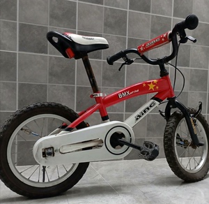 AING爱音大品牌儿童自行车，质量相当好，高度可自由调节，右
