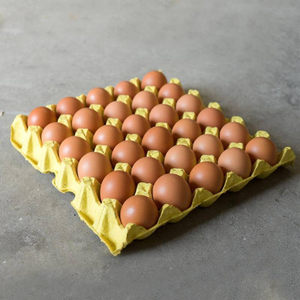 褐壳鲜鸡蛋360枚
