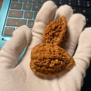 文玩核桃鸭嘴兽