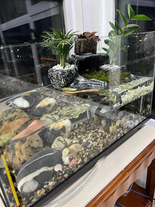 玻璃乌龟缸龟便分离生态带晒台别墅大型鱼龟共养乌龟专用缸小鱼缸