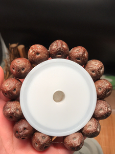 菩提树种子佛珠-淘宝拼多多热销菩提树种子佛珠货源拿货 - 阿里巴巴货