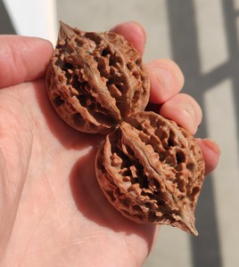 50福瑞堂旗舰店天猫文玩麻核桃中国大花大刺男把件天然野外生狮子头