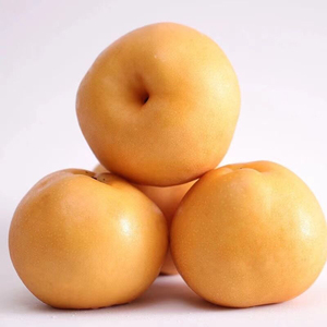 【10斤超大梨子】现摘山东丰水梨新鲜水果黄梨脆甜多汁非鸭梨包