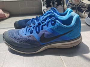 nike zoom pegasus 30,飞马30,45码