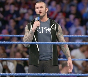 000人付款淘宝wwe人偶手办 randy orton 兰迪奥顿 2008-tedxiezhuo