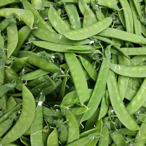 荷兰豆云南山区新鲜农家蔬菜碗豆扁豆豆角现摘现发