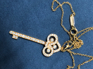 tiffany项链鸢尾花.链子是正品,原版吊坠太贵了买的