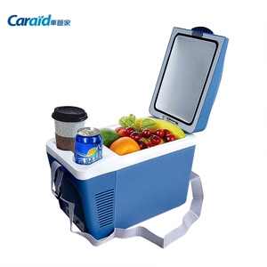 车管家车载小冰箱