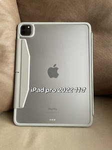 顺丰极速发货，ipad二手平板pro2022款256g大内存