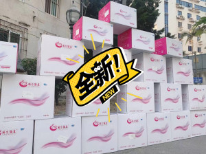 丽尔维美红豆杉卫生巾套盒