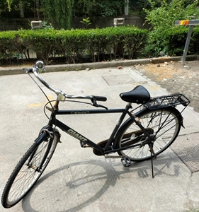 捷安特可汗 28寸单速自行车,实拍图片,座垫是原配的,前后轮