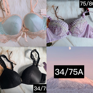 全新正品锋燕霞丹妮厚杯聚拢品牌内衣如图34/75a尺码
