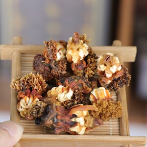 加拿大进口野生参嘴海参花 黄金色太漂亮了,营养成份好 炖汤