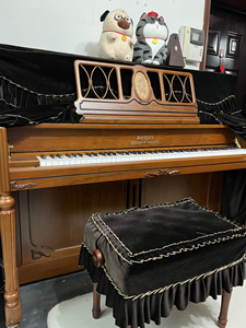 博顿钢琴,19年入手3万左右,儿子没有很大的兴趣,闲置家中
