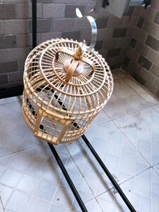 遛鸟神器自动