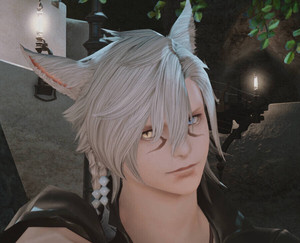 魅族猫男数据脸型最终幻想14 ff14捏脸数据脸型  猫魅族