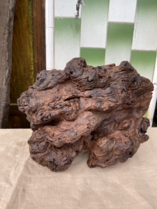 【铁力树】铁力树品牌,价格 - 阿里巴巴