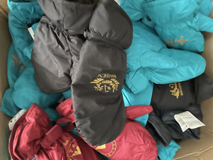 【清仓处理】波司登,雪中飞羽绒手套,保证正品!关店处理!全新