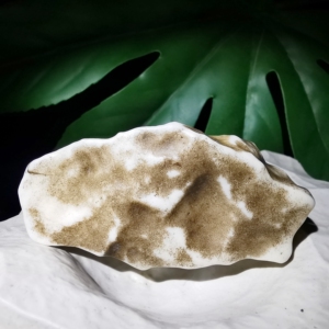 蛋白玉地表原石