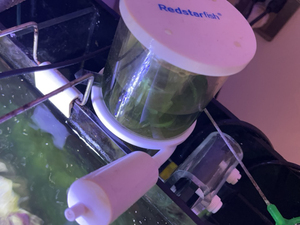 000人付款淘宝红海星sq70蛋分 蛋白质分离器肖武冬阿里巴巴为您推荐