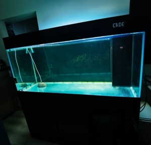 龙潭新兵,彩蝶龙鱼缸.四面超白玻璃,1.5米底滤,专业过滤设