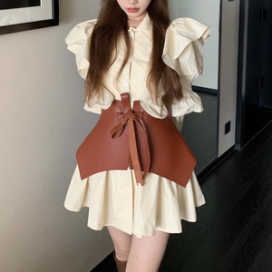 连衣裙中间搭配腰封皮的,这件衣服适合春天秋天夏天穿,全新,衣