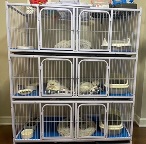 宠物繁殖猫笼繁殖笼猫笼三层宠物店寄养笼多层狗笼子带隔断双层繁