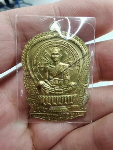 龙婆坤骑猪红铜自身