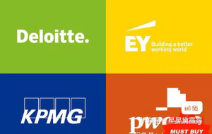 安永帕特农管理咨询团队