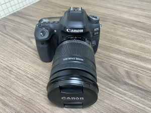 佳能80d单反相机 长焦专业单反追星拍鸟套装