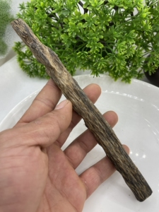 结香树