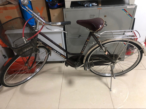 金狮牌自行车9.5成新就骑了一年一直闲置转给需要的人或收藏除