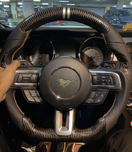 野马方向盘蛇标