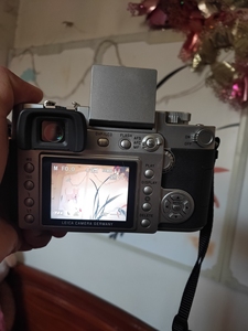 徕卡单反数码相机机身不带镜头型号digilux3全网唯一收藏