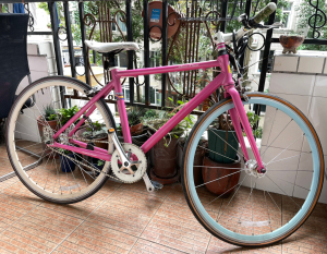 品牌型号  omentum莫曼顿iwant爱旺7000f城市