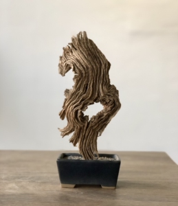 风化木胡杨枯木根雕置景仛寂禅意摆件,不包括底座.喜欢点"我想