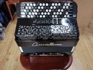 巴扬手风琴意大利