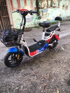 00香樟绿州109淘宝电动车雷致牌48v,带手提款锂电池,方便轻松充电