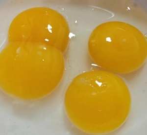 鹅蛋双黄