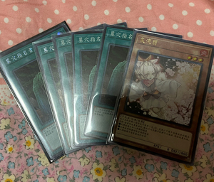 简中游戏王 范用手坑 灰流丽ur,墓穴的指名者2ser3sr